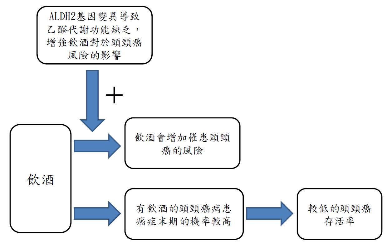 酒精對於頭頸癌風險及存活之影響